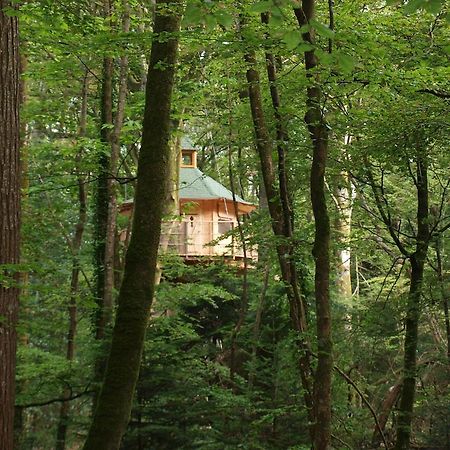 Les Cabanes De Kermenguy Cleder Номер фото